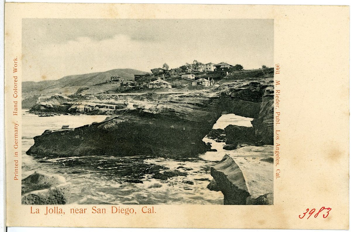 grassy bluff park overlooking La Jolla Cove with sea lions on the rocks below