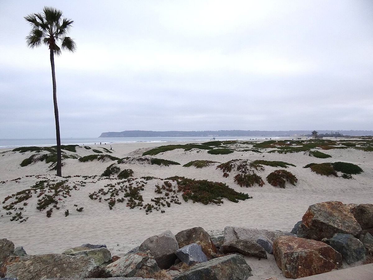 Wide sandy beach with the Hotel del Coronado in the background at sunset