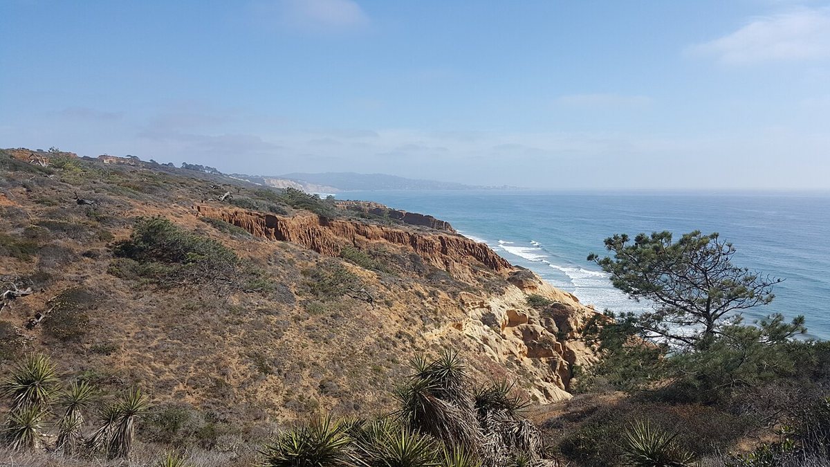 The sandstone cliffs and trails of Torrey Pines State Natural Reserve above the Pacific